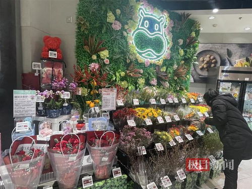 鲜花消费日常化趋势明显，武汉时令春花绽放新商机
