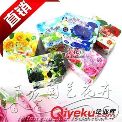 沭阳飞龙园艺 厂家直销新奇特礼品盆栽——浪漫黑玫瑰园